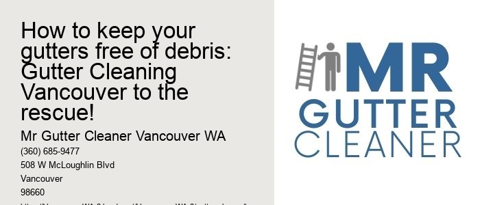 How to keep your gutters free of debris: Gutter Cleaning Vancouver to the rescue!