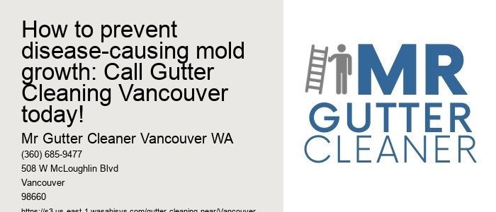 How to prevent disease-causing mold growth: Call Gutter Cleaning Vancouver today!