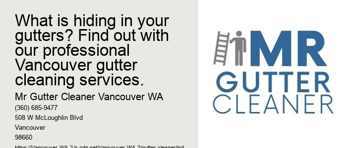 What is hiding in your gutters? Find out with our professional Vancouver gutter cleaning services.