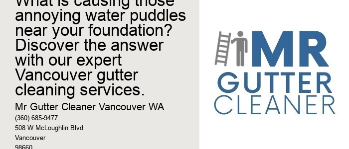 What is causing those annoying water puddles near your foundation? Discover the answer with our expert Vancouver gutter cleaning services.